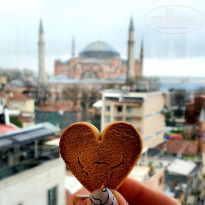 фото из отзыва ID 2171994