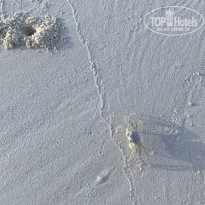 фото из отзыва ID 2171878