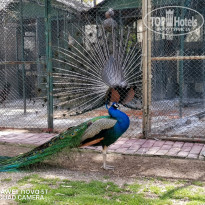фото из отзыва ID 2172413