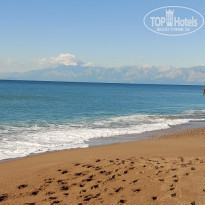 фото из отзыва ID 2172434