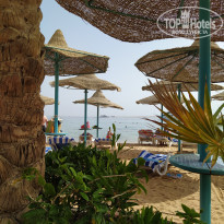 фото из отзыва ID 2172475