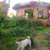 фото из отзыва ID 2172528