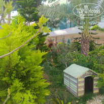 фото из отзыва ID 2172528