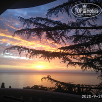 фото из отзыва ID 2172627