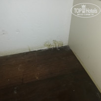 фото из отзыва ID 2172679