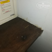 фото из отзыва ID 2172679