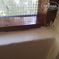 фото из отзыва ID 2172679