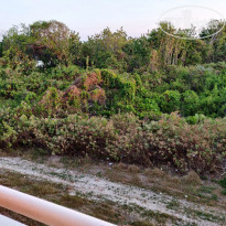 фото из отзыва ID 2172743