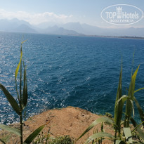 фото из отзыва ID 2172747