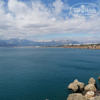 фото из отзыва ID 2172747