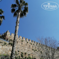 фото из отзыва ID 2172747