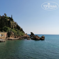 фото из отзыва ID 2172747