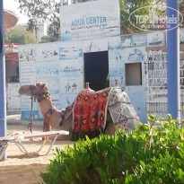 фото из отзыва ID 2170278