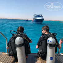 фото из отзыва ID 2172832