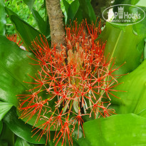 фото из отзыва ID 2172855