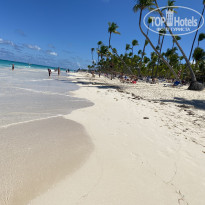 фото из отзыва ID 2172901