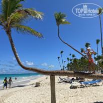 фото из отзыва ID 2172901