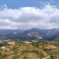 фото из отзыва ID 2173150