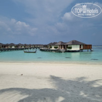 фото из отзыва ID 2173181