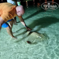 фото из отзыва ID 2173181