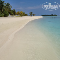 фото из отзыва ID 2173181