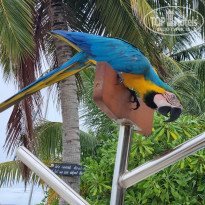 фото из отзыва ID 2173181