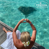 фото из отзыва ID 2173181