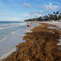 фото из отзыва ID 2172916