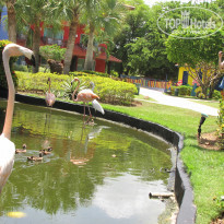 фото из отзыва ID 2172916