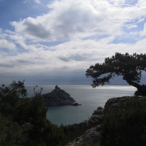 фото из отзыва ID 2173218