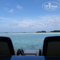 фото из отзыва ID 2173309