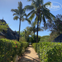 фото из отзыва ID 2173433