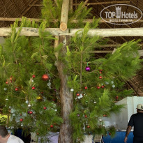 фото из отзыва ID 2173433