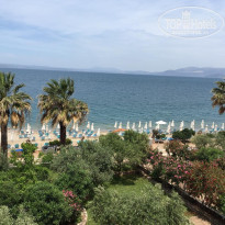 фото из отзыва ID 2173444