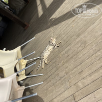 фото из отзыва ID 2173454