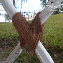 фото из отзыва ID 2173502