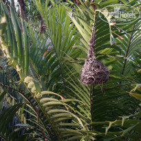 фото из отзыва ID 2173502