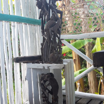 фото из отзыва ID 2173502