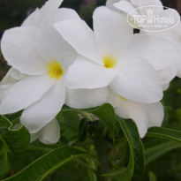 фото из отзыва ID 2173502