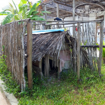 фото из отзыва ID 2173502