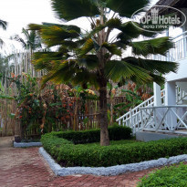 фото из отзыва ID 2173502