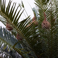 фото из отзыва ID 2173502