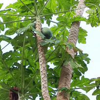 фото из отзыва ID 2173502