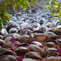 фото из отзыва ID 2173502