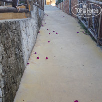 фото из отзыва ID 2173502