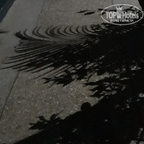 фото из отзыва ID 2173502