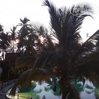 фото из отзыва ID 2173502