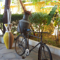 фото из отзыва ID 2173502