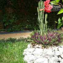 фото из отзыва ID 2173502