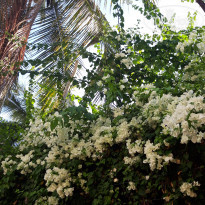 фото из отзыва ID 2173502